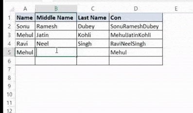 Prevent duplicate records entry in Excel