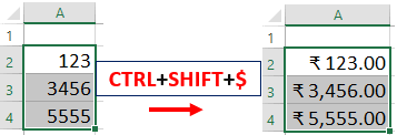 format number as currency shortcut