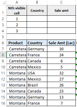 Get first second visible cell value after filter in Excel